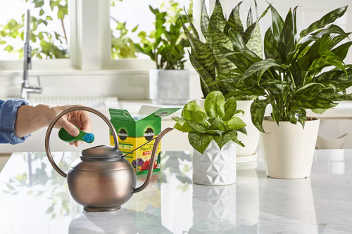 Miracle Gro Alimento Vegetal Uso Múltiple Soluble 4lb 1.8 Kg