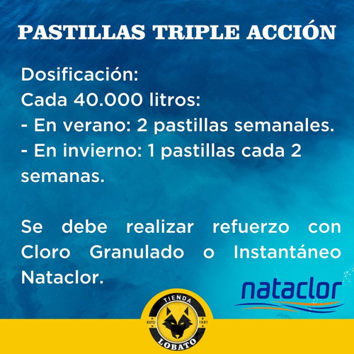 Imagen 5 de 10 de Kit Pastillas Boya Nataclor Cloro Triple Accion 1kg Piletas