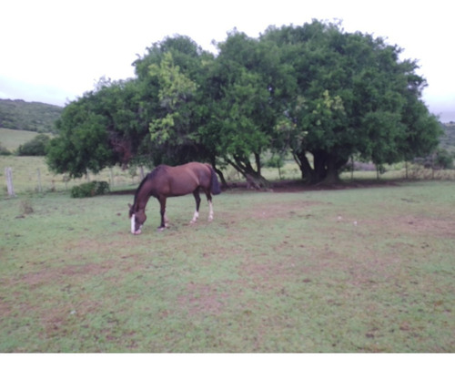 Campo De 153 Hectáreas En Maldonado