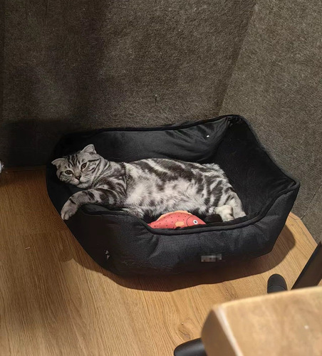 Cama Moisés Cucha De Pana Para Mascotas Mediana Perros Gatos Color Negro