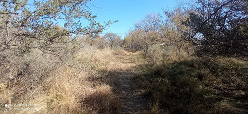 Imagen 5 de 9 de T36 - Lote De 1.250 M2 Camino Al Dique La Viña Quebrada De Los Pozos