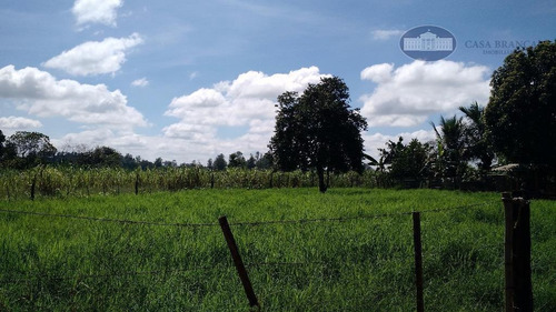 Chácara Com 2 Dormitórios À Venda, 5025 M² Por R$ 350.000,00 - Rancho Grande - Guararapes/sp - Ch0007