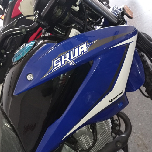 Imagen 9 de 23 de Motomel Enduro Skua 150 V6