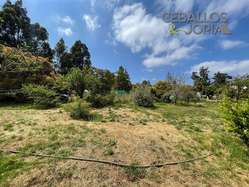 Parcela En Venta En Villa Alemana