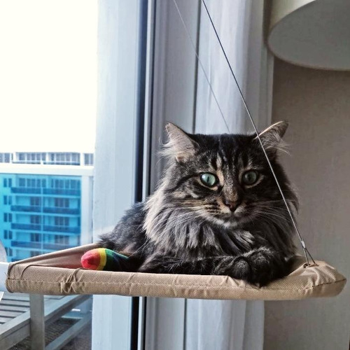 Imagen 7 de 9 de Cama Gatos Cuna Hamaca Ventana Descanso Colgante Ventosas