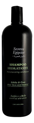 Shampoo Hidrata Antifriz Coco S - L a $33