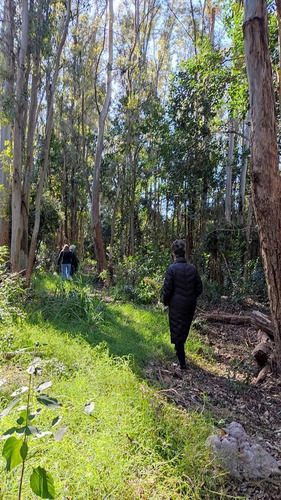 Imagen 13 de 21 de Venta En Estancia El Aduar Club De Chacras 2 Has Bosque Y Llano, Con Mejoras