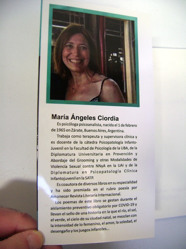 Entre Poemas Y Pinturas Ciordia Berrade Vergara Edic Boedo (Usado)