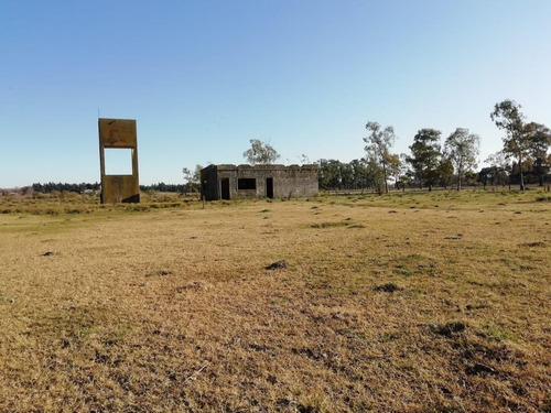 Imagen 9 de 13 de Campo 5ha - Con Pequeña Construcción - Capitan Sarmiento -