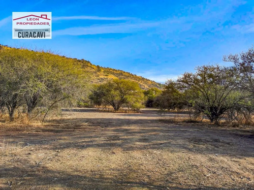 Gran Oportunidad De Inversión, Se Venden Loteos De 1 Ha. En 