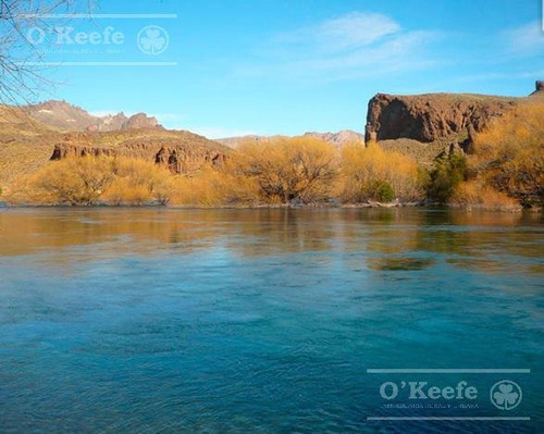 Imagen 6 de 30 de Chacra En Bariloche Sobre El Río Limay - Pesca Patagonia