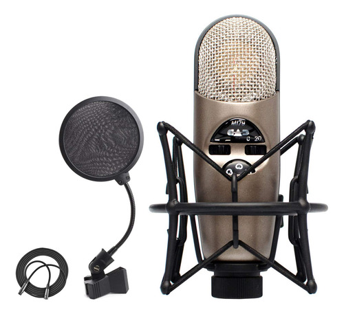 Cad M179 Microfono Condensador Patron Variable Shockmount +