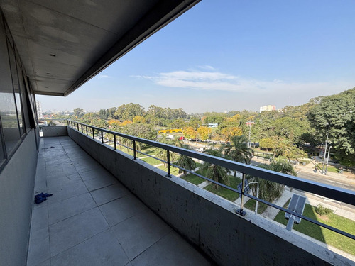 Oficina En Alquiler Plantas Abiertas Con Vista Al Parque Sarmiento