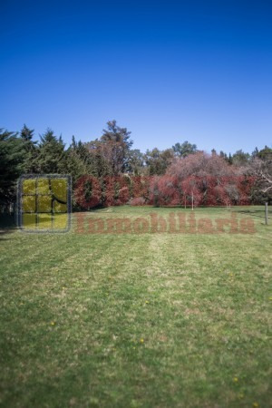 Imagen 20 de 25 de Cañuelas-casa Quinta En Venta