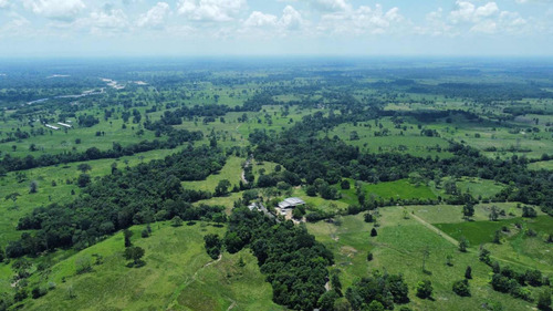 Imagen 3 de 16 de Finca Ganadera En Coloncito Excelente Tierras