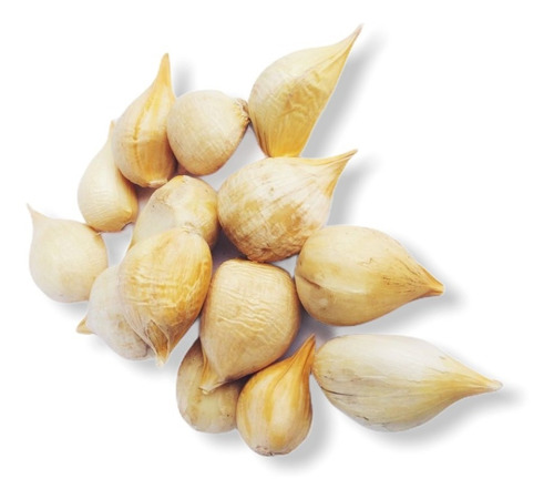 Imagen 8 de 9 de Ajo Italiano Desgranado 1kg