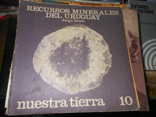 ** Recursos Minerales Del Uruguay  -  Jorge Bossi