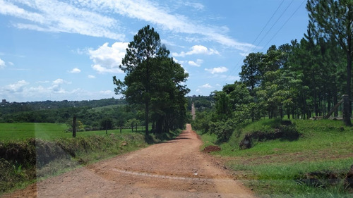 Imagen 20 de 21 de Lote En Venta 1219m2 En Puerto Rico - Loteo Clemens Blick