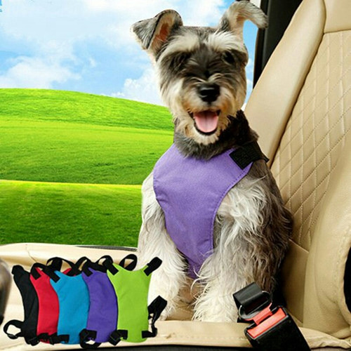 Arnes Para Auto Para Perro Con Enganche Talla S 