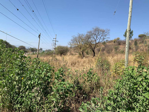 Venta + Terreno + Hectarea Sobre Ruta 1 Palpala