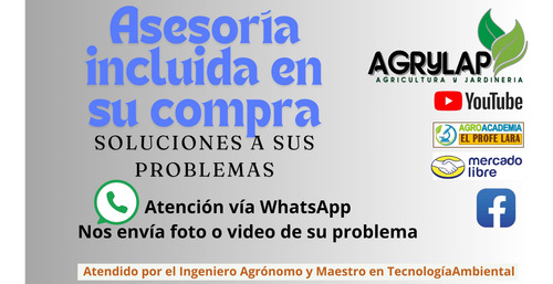 1 Sobre De Semillas De Salvia