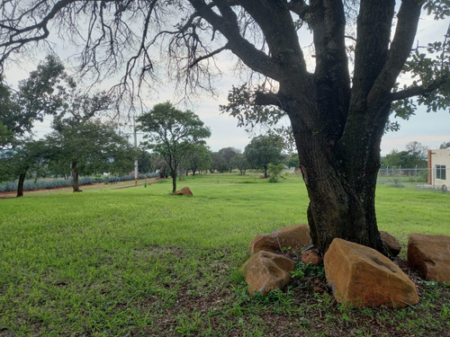 Hermoso Terreno En Fraccionamiento Campestre Los Encinos (carr. Tepatitlán-tototlán)