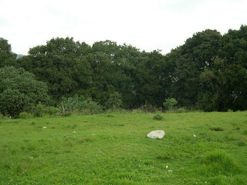Imagen 3 de 12 de Terreno Para Desarrollo Residencial En Venta
