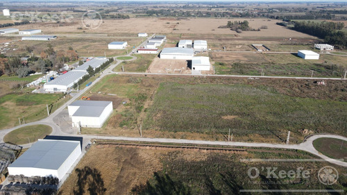 Lote Industrial En Venta Parque Industrial General Rodriguez - Zona Oeste - 2578 M2