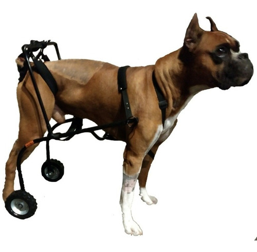 Andadera Para Perro Discapacitado