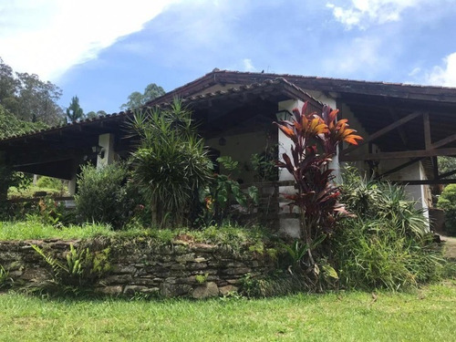 Imagem 6 de 16 de Excelente Sitio Em Itapecerica Da Serra, Área Comercial E Com Plantio De Eucalipto. - 122 - 69234465