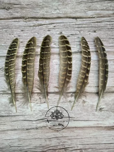 ¡Plumas de Gallo Naturales - Paquete de 12 en Colores Vivos!