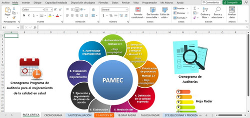 Formato Ruta Crítica Pamec-acreditación Hosp Y Ambu V1.0