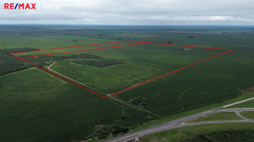 Venta Campo 140 Has Sobre Ruta 36 Almafuerte Cba