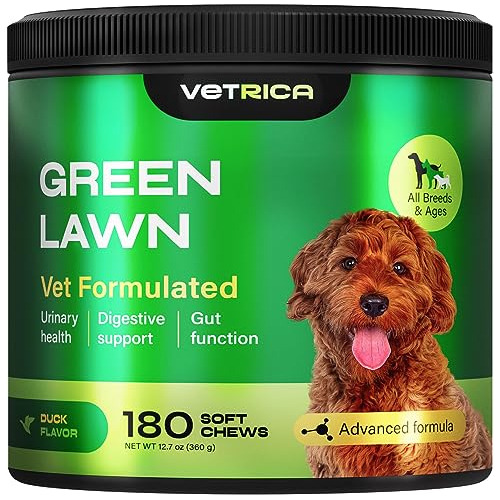 Vetrica Pato-flavorado Césped Verde Masticar Perros - Ch4ma