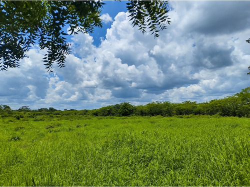 Rancho Ganadero En Venta, Propiedad Privada, 453 Has, Con Cenotes