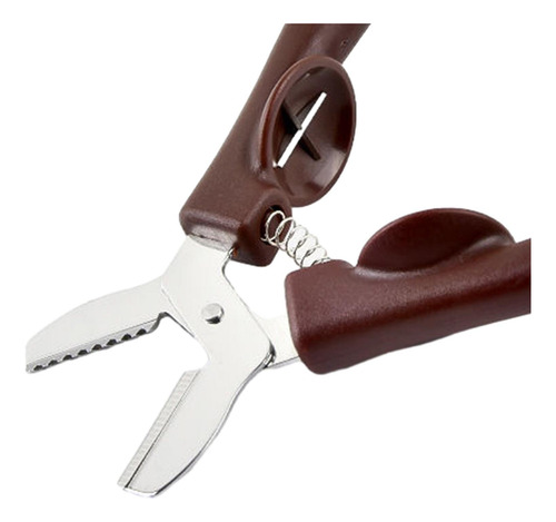 Clip Con Forma De Castaña Abridor De Castañas Abrazadera