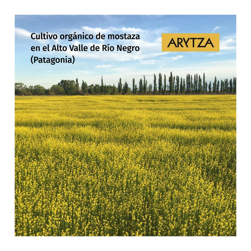 Mostaza Gourmet Arytza Tipo Dijón 4,5kg - Uso Gastronómico