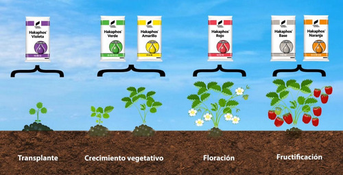 Fertilizante Hakaphos Violeta 13-40-13 Enraizamiento 500gr