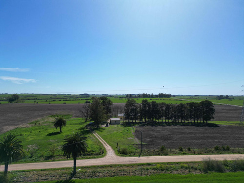 Chacra 5 Has, Colonia