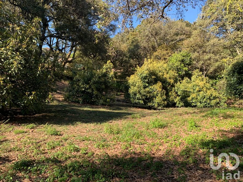 Venta Terreno 0 Ambiente Los Ocotes