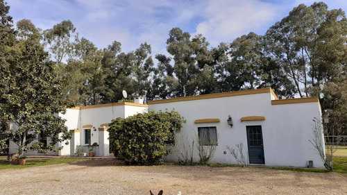 Campo C/ Caballerizas Y Casa Colonial - Villa Elisa