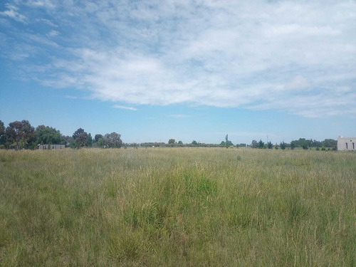 Terreno Lote En Venta En Coronel Suárez, Resto De La Provincia, Buenos Aires