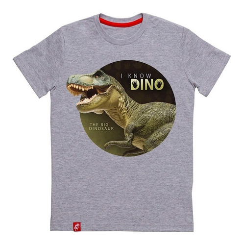 Big Dinosaurio Remera Niños El Danzante