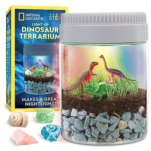 Kit De Terrario De Dinosaurios Niños - Kit De Terrario...