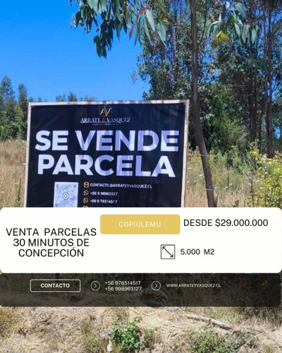 Venta Parcelas En Copiulemu Camino A Hualqui