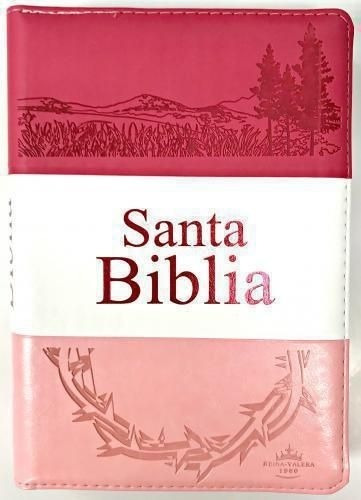 Libro Biblia Rvr1960 Tamaño Manual, Letra Grande Con Cierre