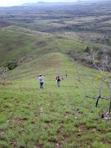 Imagen 6 de 8 de Finca 3.000 Has. Municipio Piar, Upata, Edo. Bolívar
