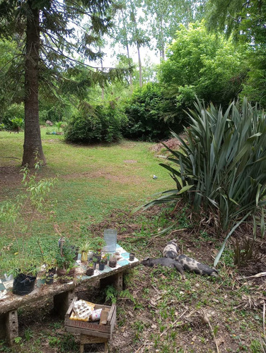 Casa En Venta Delta Tigre