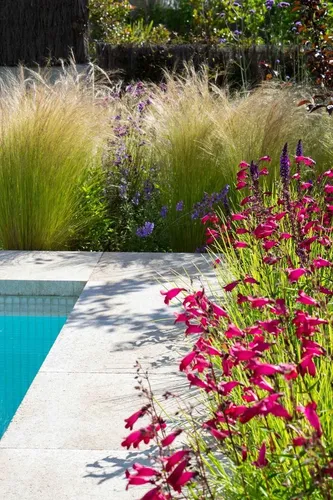Paisajismo Y Jardinería