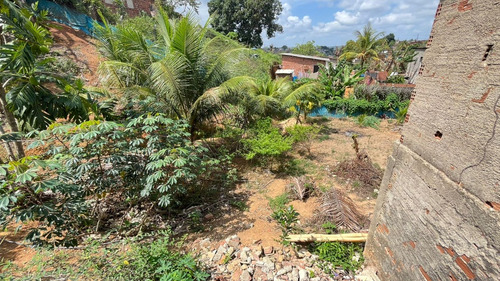 Casa De 6 Cômodos Com Área Livre